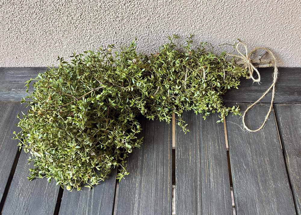 creosote bundle 01.jpg