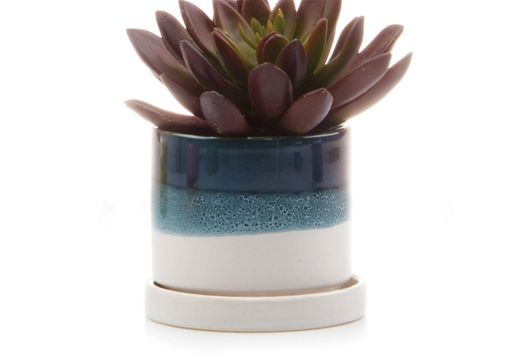 teal white 3 inch planter.jpg