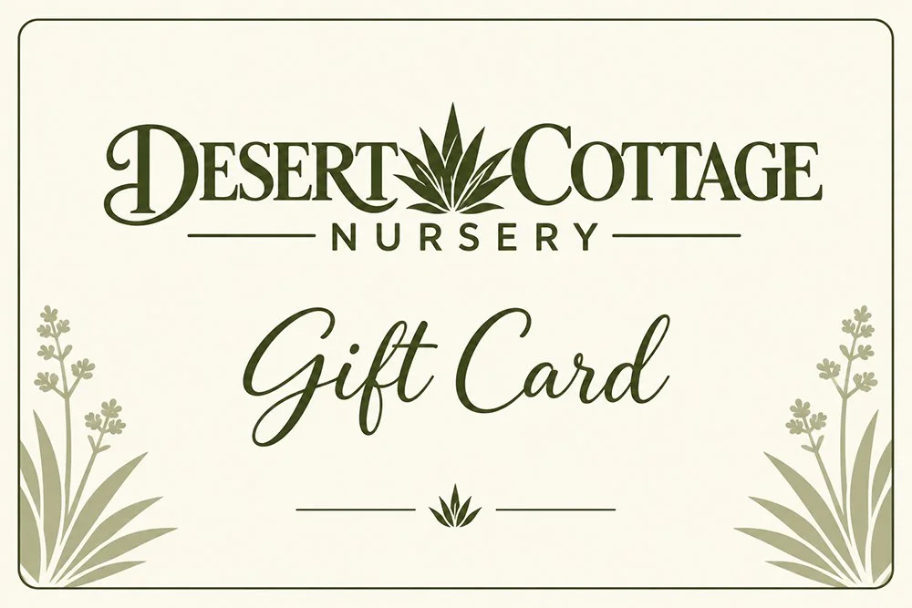 Give the Gift of Desert Beauty