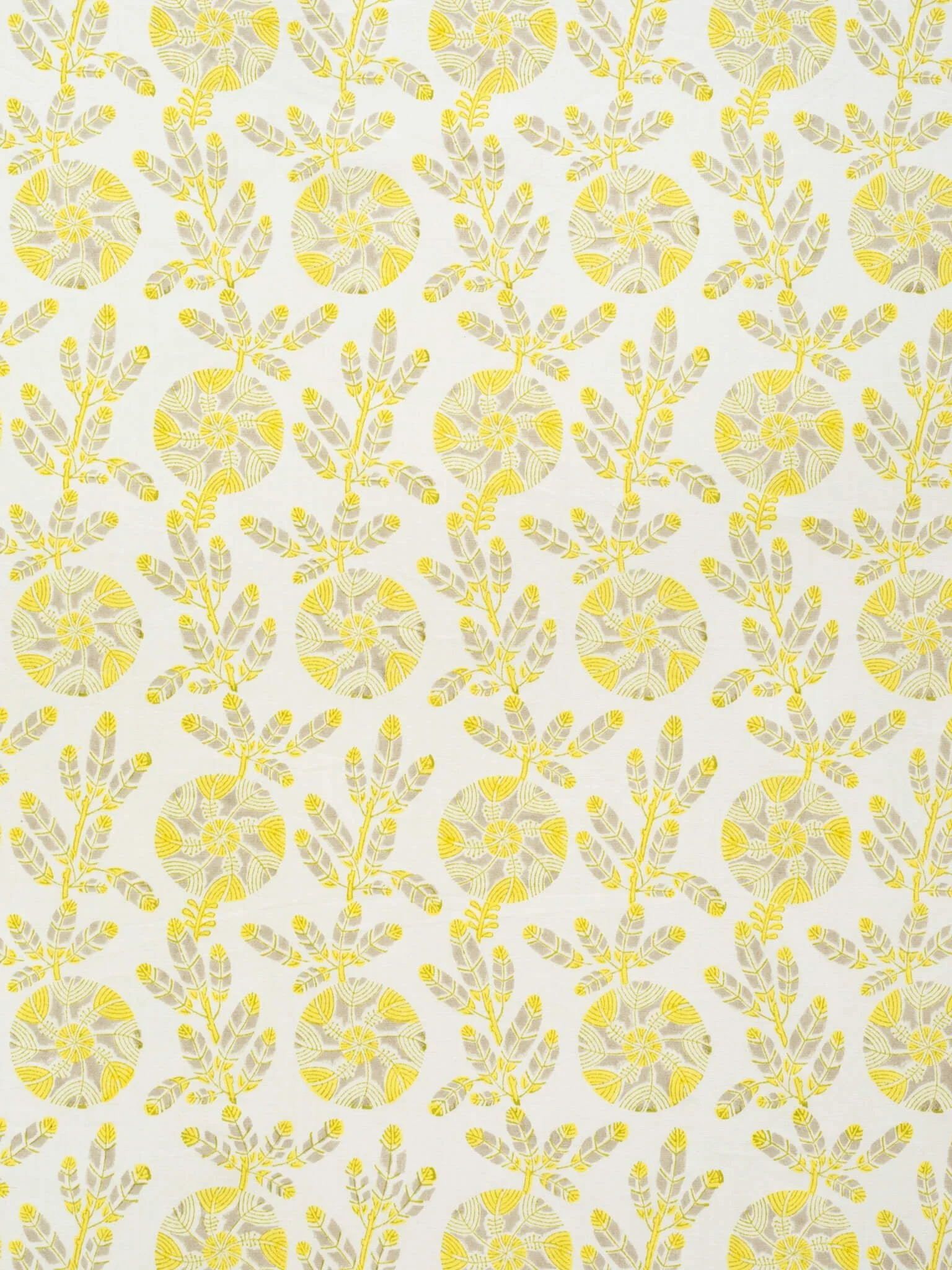 BEIGE 19 | MB0923