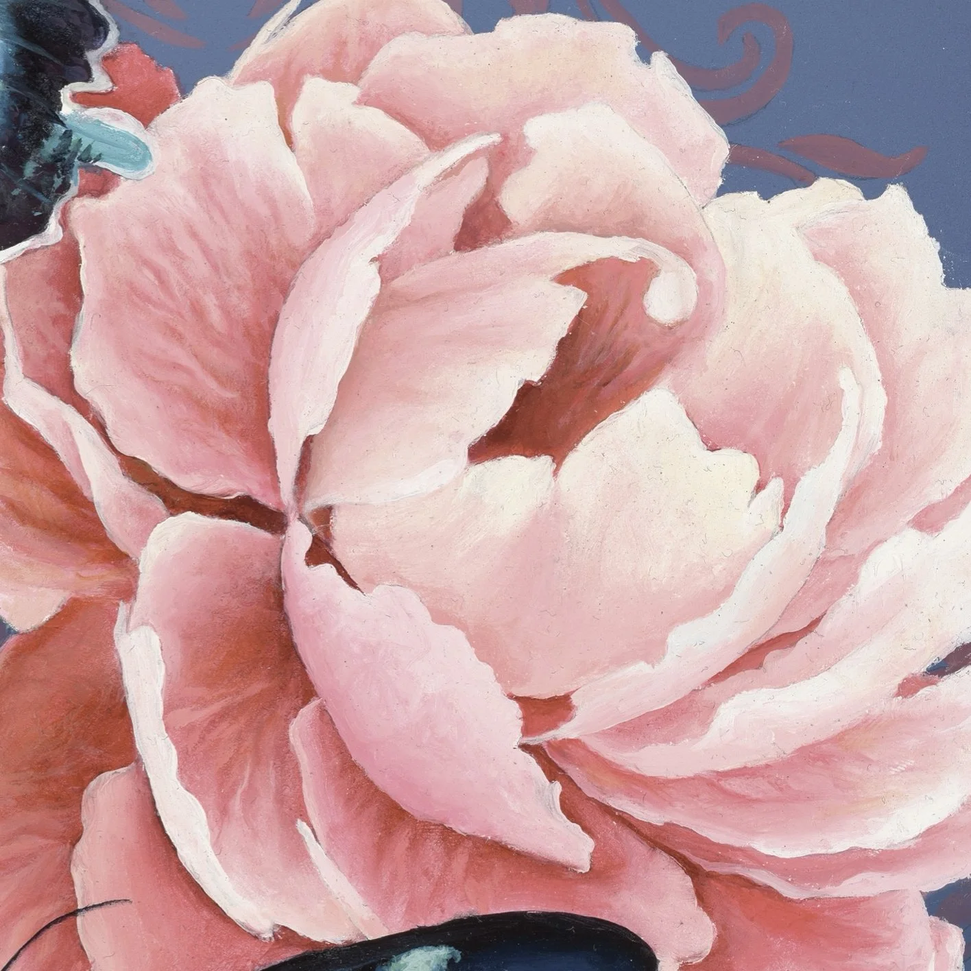 Papillon_closeup_2.jpg
