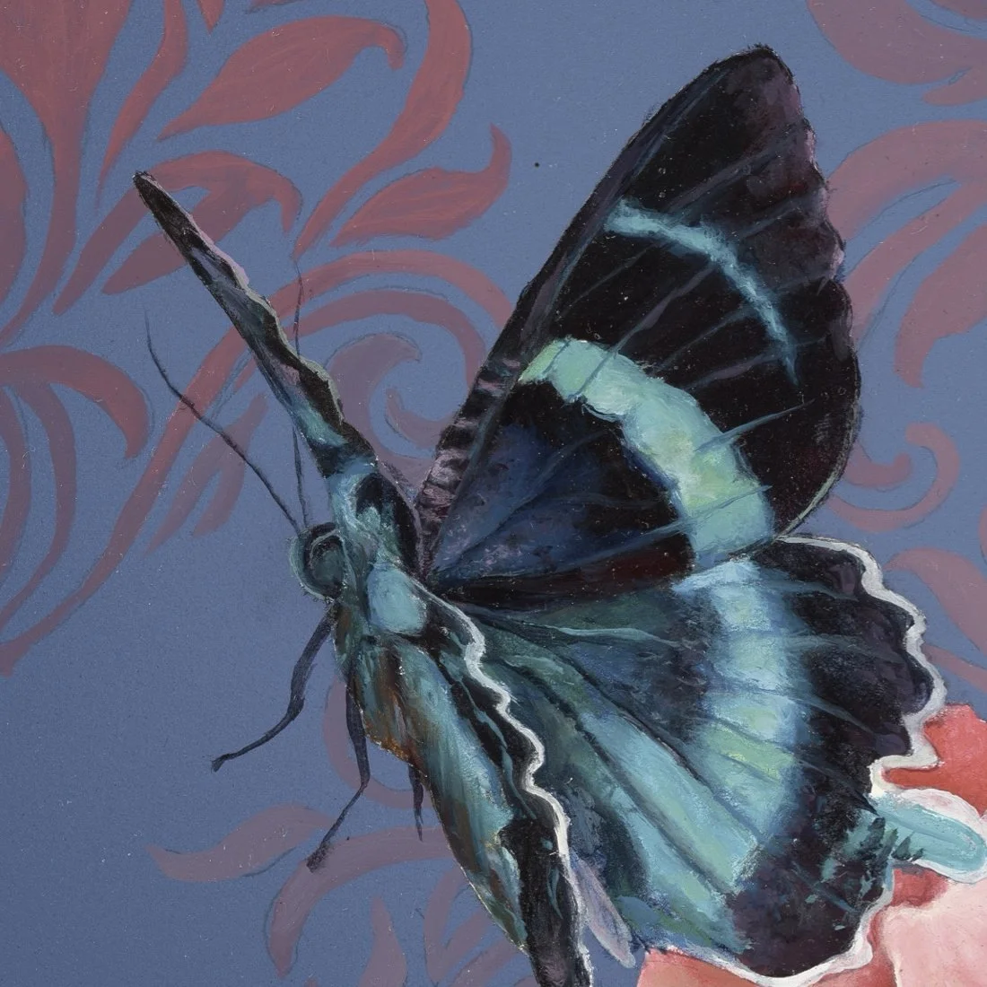 Papillon_closeup_1.jpg