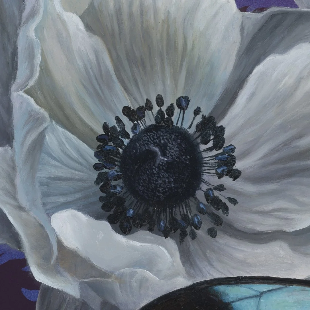 Poppies_closeup_1.jpg