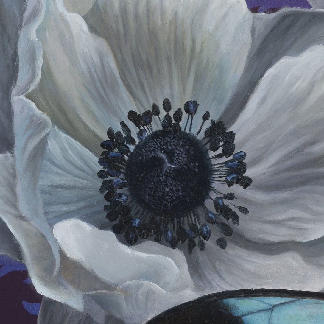 Poppies_closeup_1.jpg