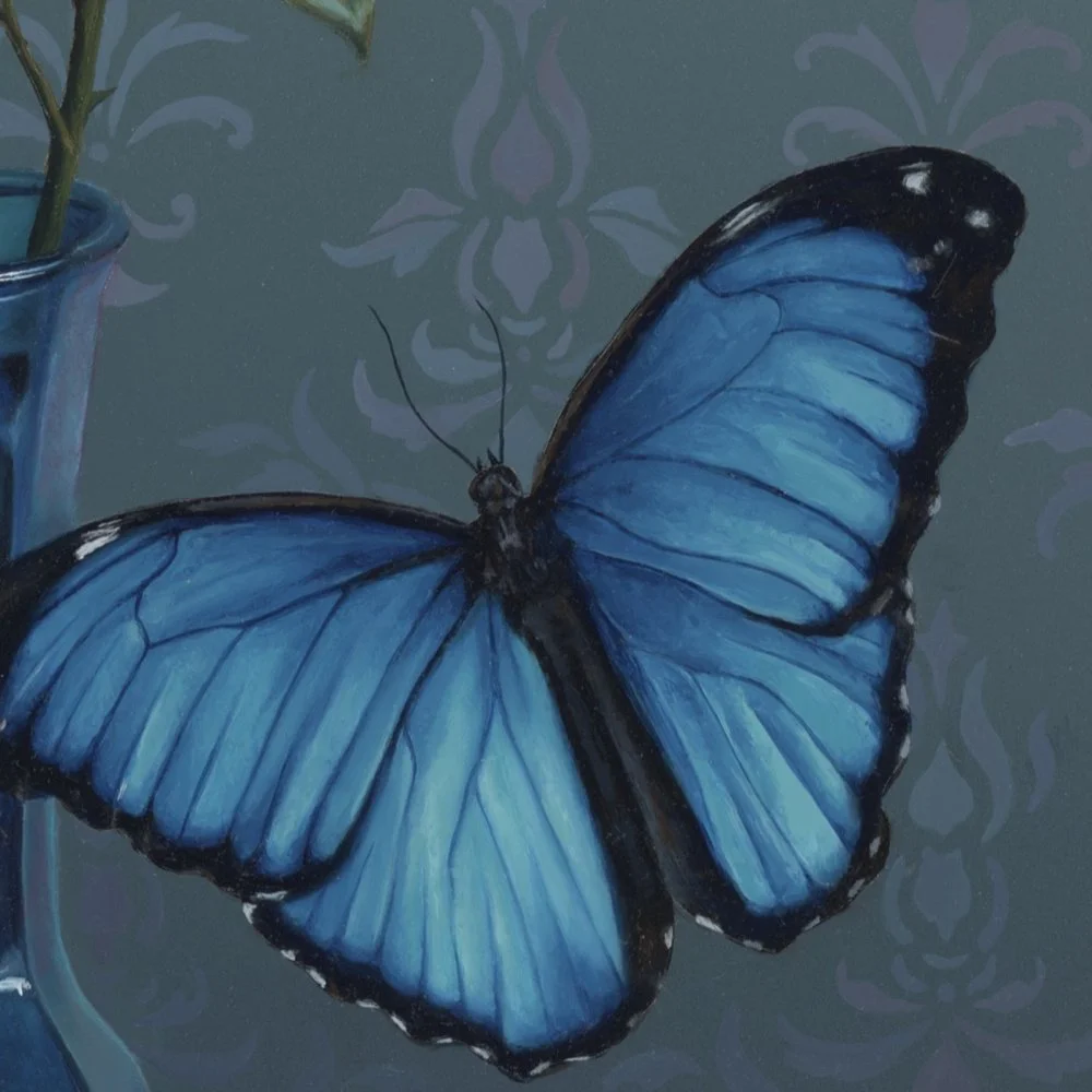 Morpho_closeup_2.jpg