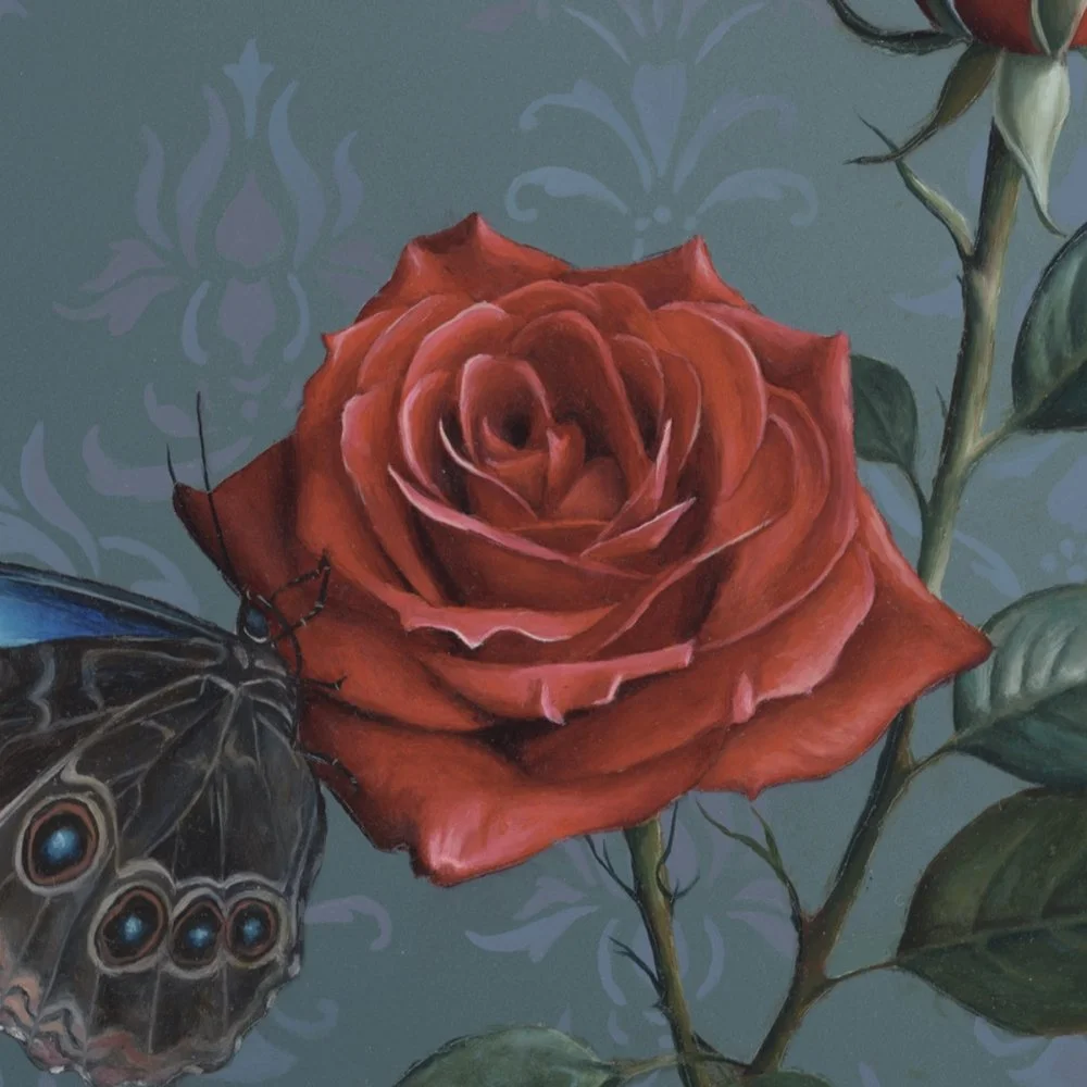 Morpho_closeup_1.jpg