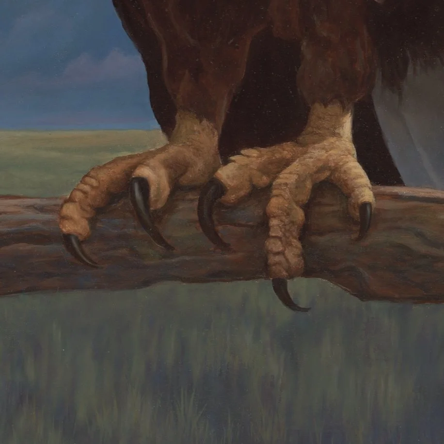 Calm Before The Storm_closeup_2.jpg