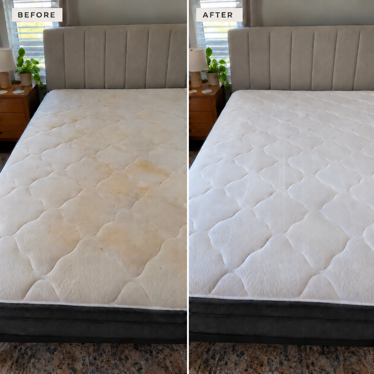 Mattress before and after cleaning, yellow stains removed