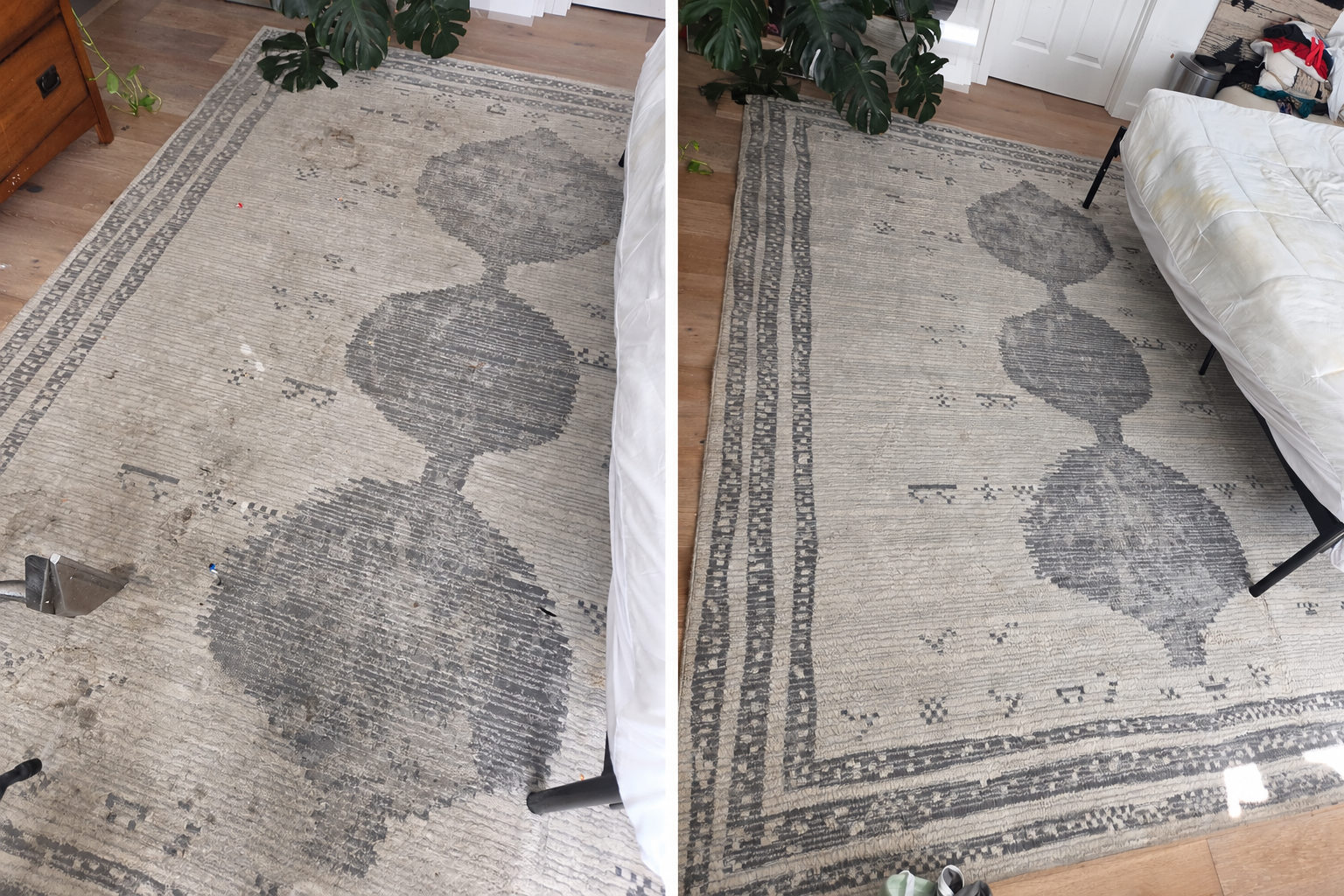 Patterned area rug before and after cleaning