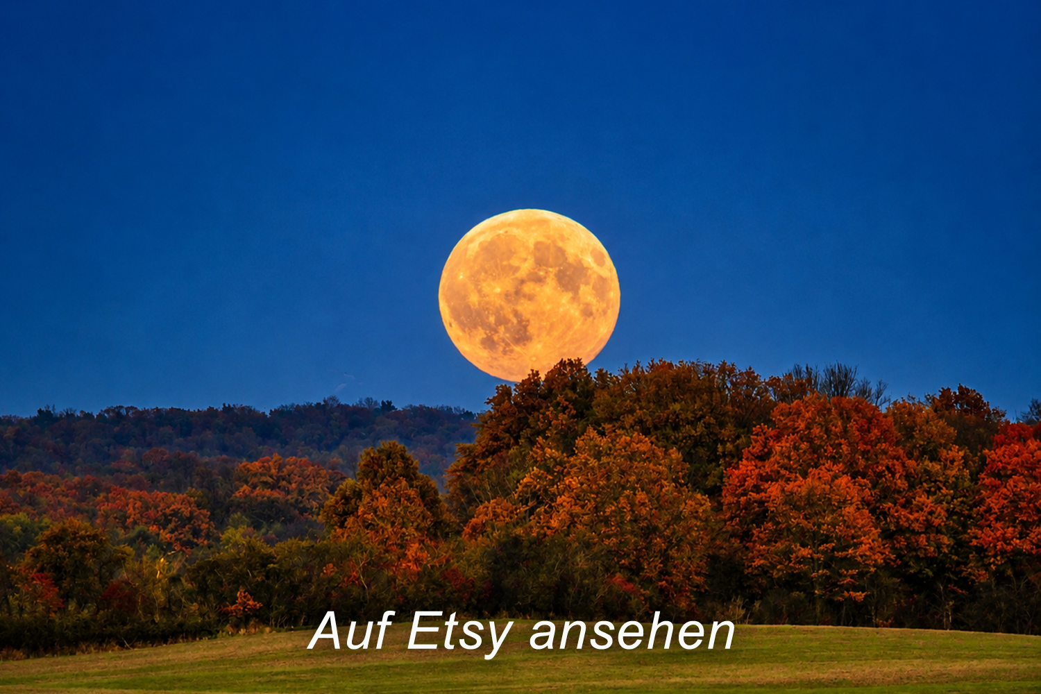 Vollmond über bewaldetem Hügel bei Dämmerung, Herbstfarben in den Blättern, blauer Himmel. Exklusives Foto auf Leinwand bei Etsy