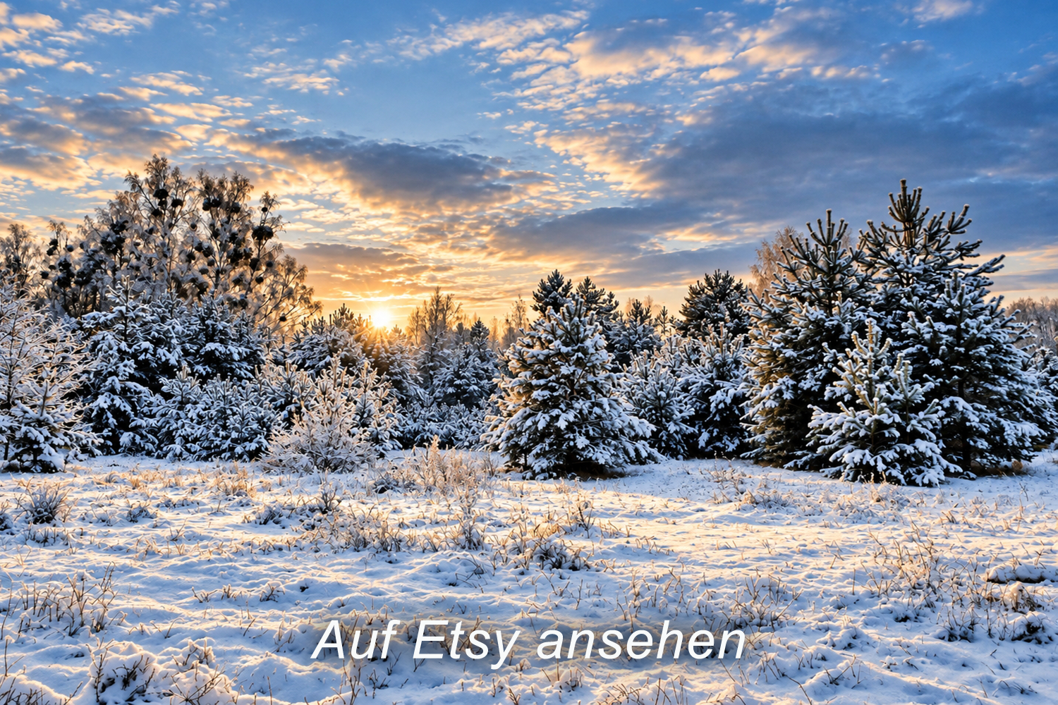 Schneebedeckte Tannenbäume im Winter bei Sonnenuntergang, Himmel mit Wolken. Exklusives Foto auf Leinwand bei Etsy