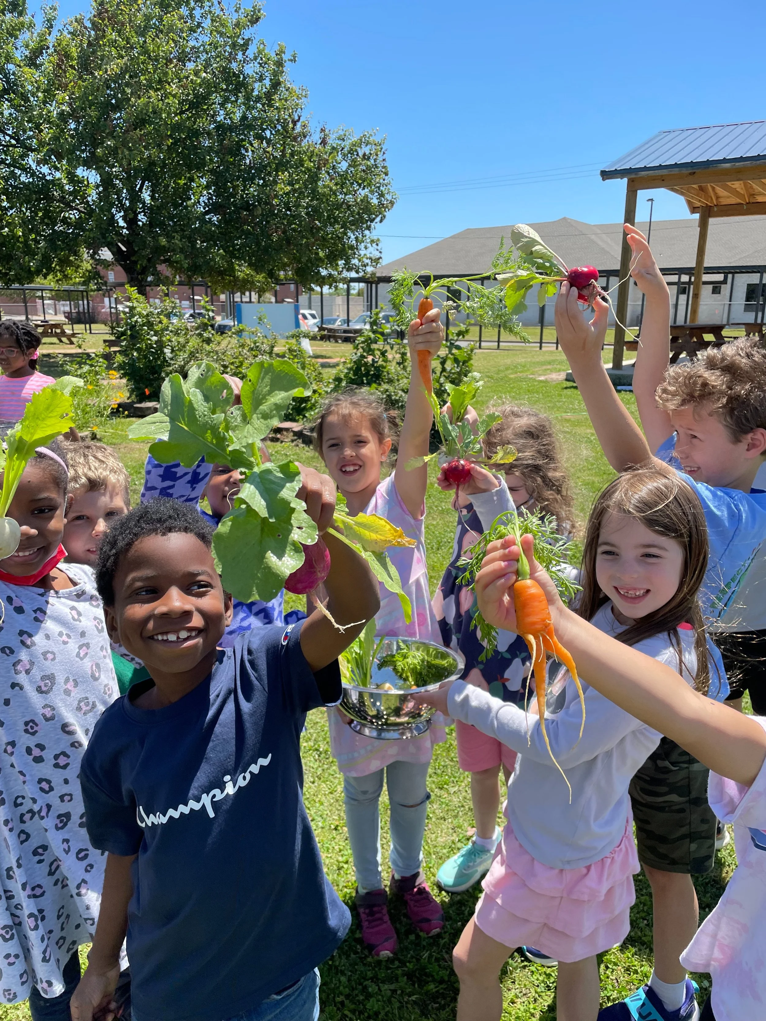 Childern holding up veggies in a school garden