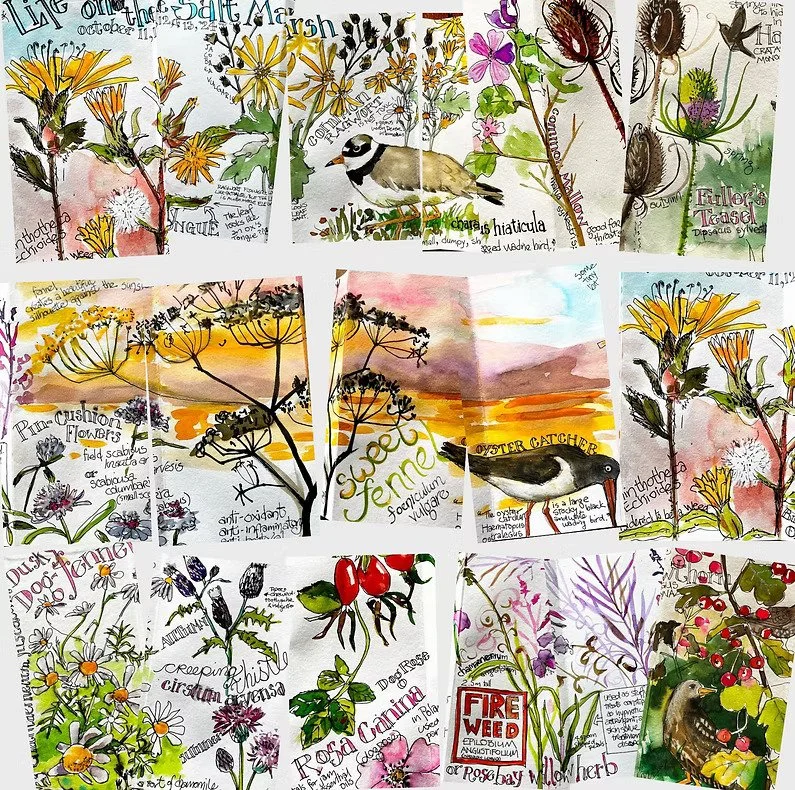 Salt Marsh workshops