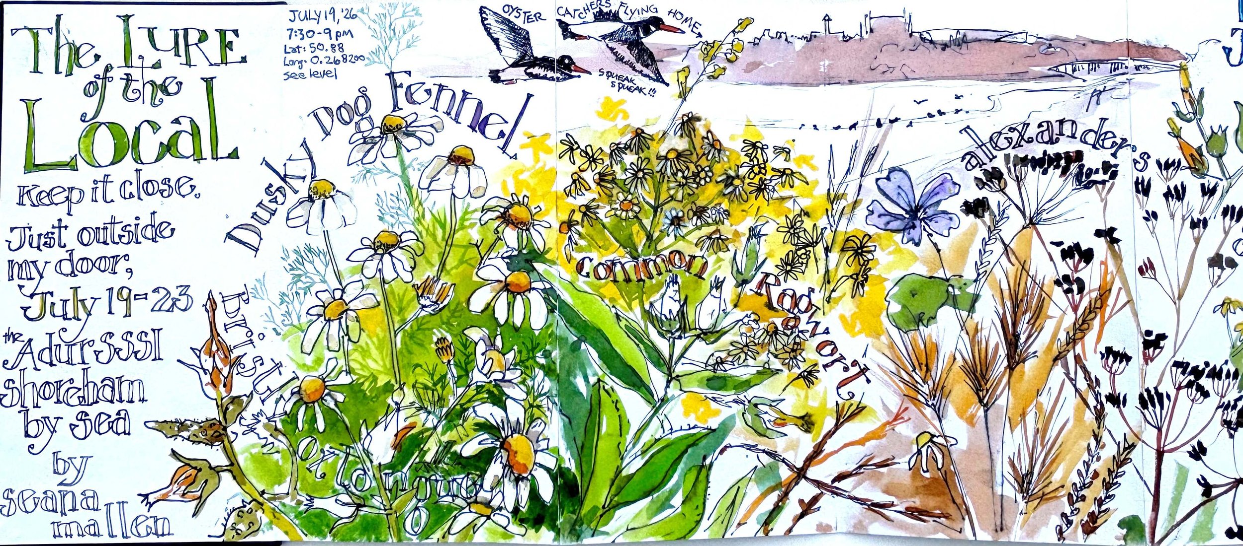 Hand-drawn and watercolor illustrated poster for a nature event titled 'The lure of the Local,' scheduled from July 19-23 at the Adirondack Shoreham by Sea. The poster features drawings of daisies, yellow flowers, and fledgling birds in flight, with 
