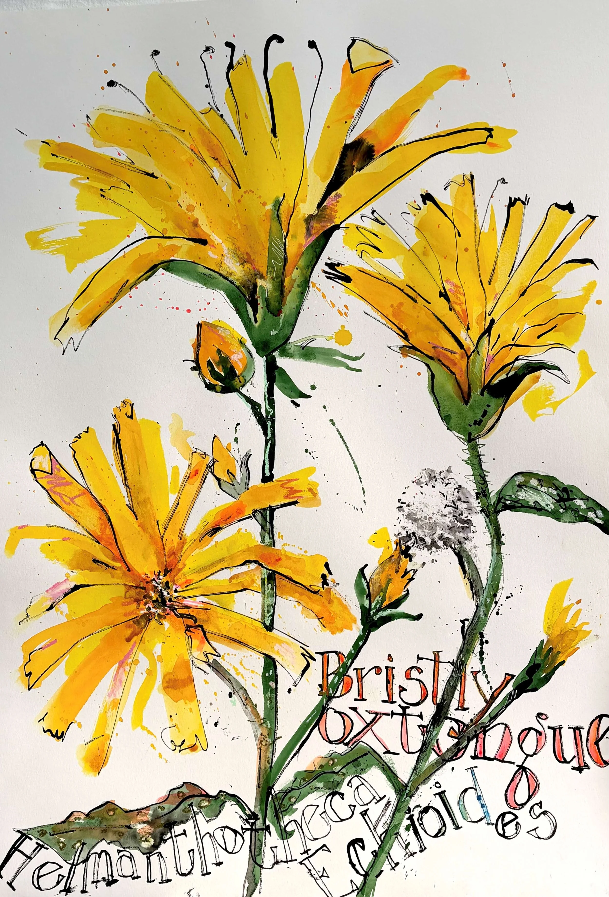 An artistic watercolor painting of yellow flowers with black outlines, leaves, and stems, accompanied by partially visible text in various colors.