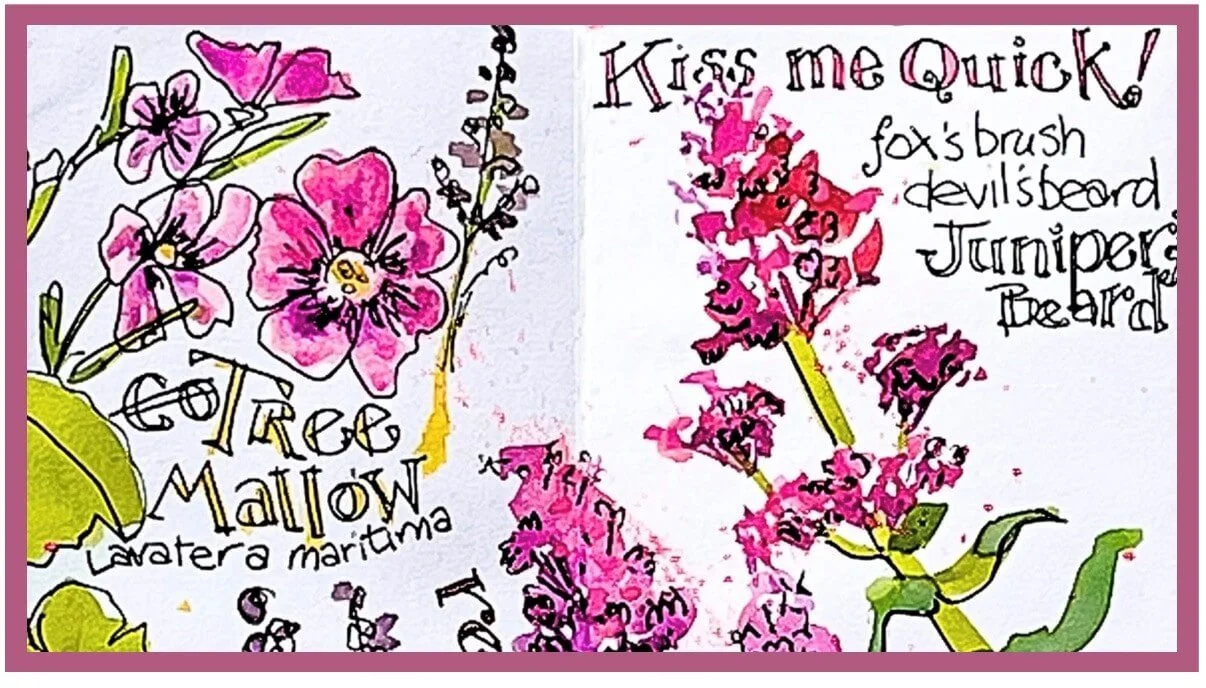 A colorful, hand-drawn illustration of pink flowers with text about plant care, including watering and pruning instructions.