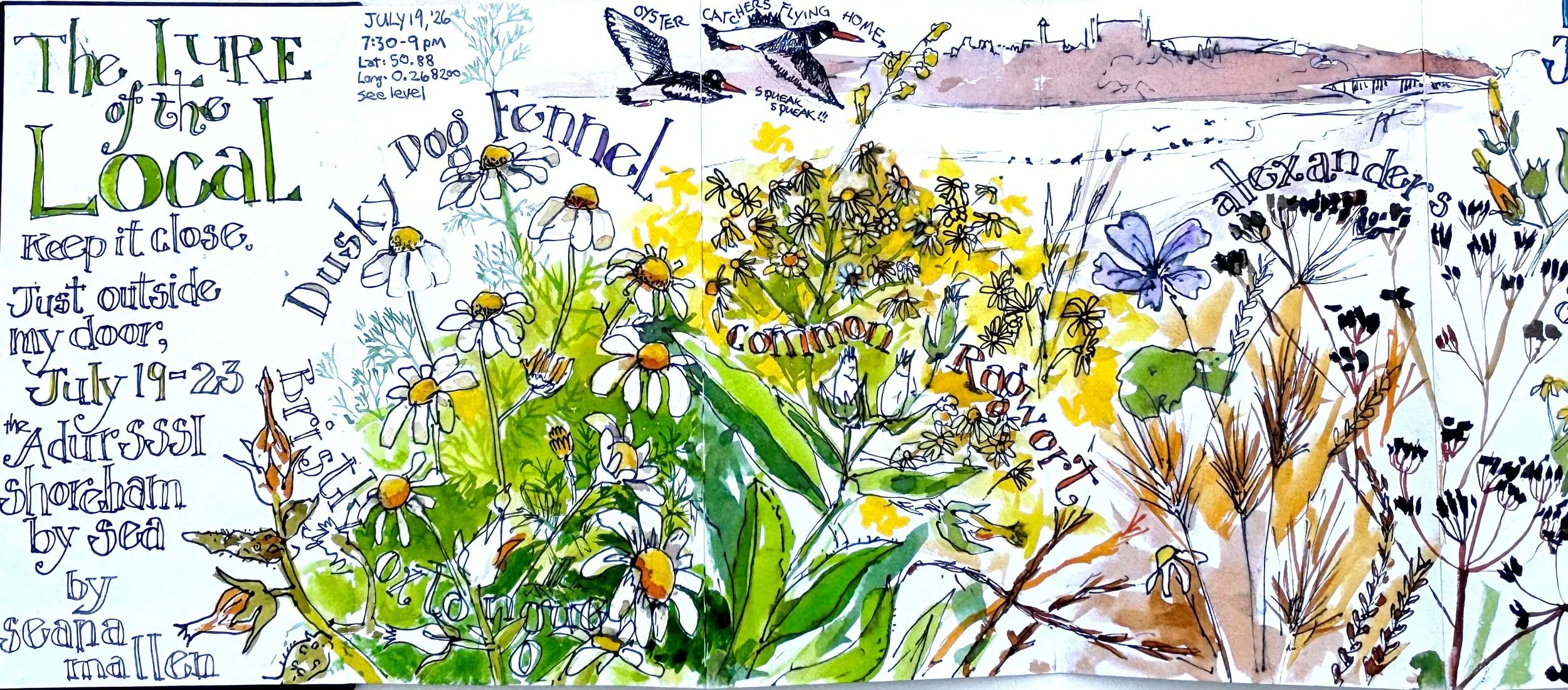 Hand-drawn illustration of wildflowers, birds, and handwritten notes about a nature event on July 19, 1926, including details about a bird watching trip at the Audubon Shoreham by Sea.