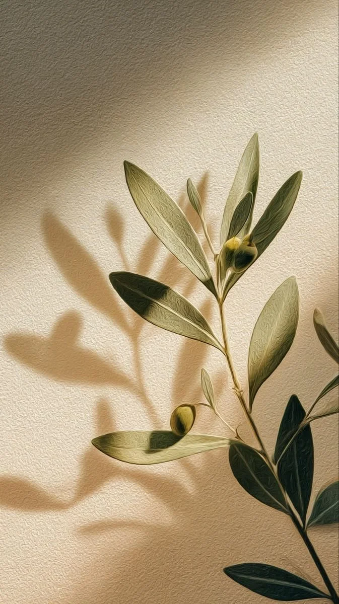 A branch with green leaves and a couple of buds, casting a shadow on a beige wall.