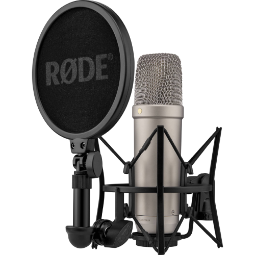Studio microphone with pop filter and shock mount.