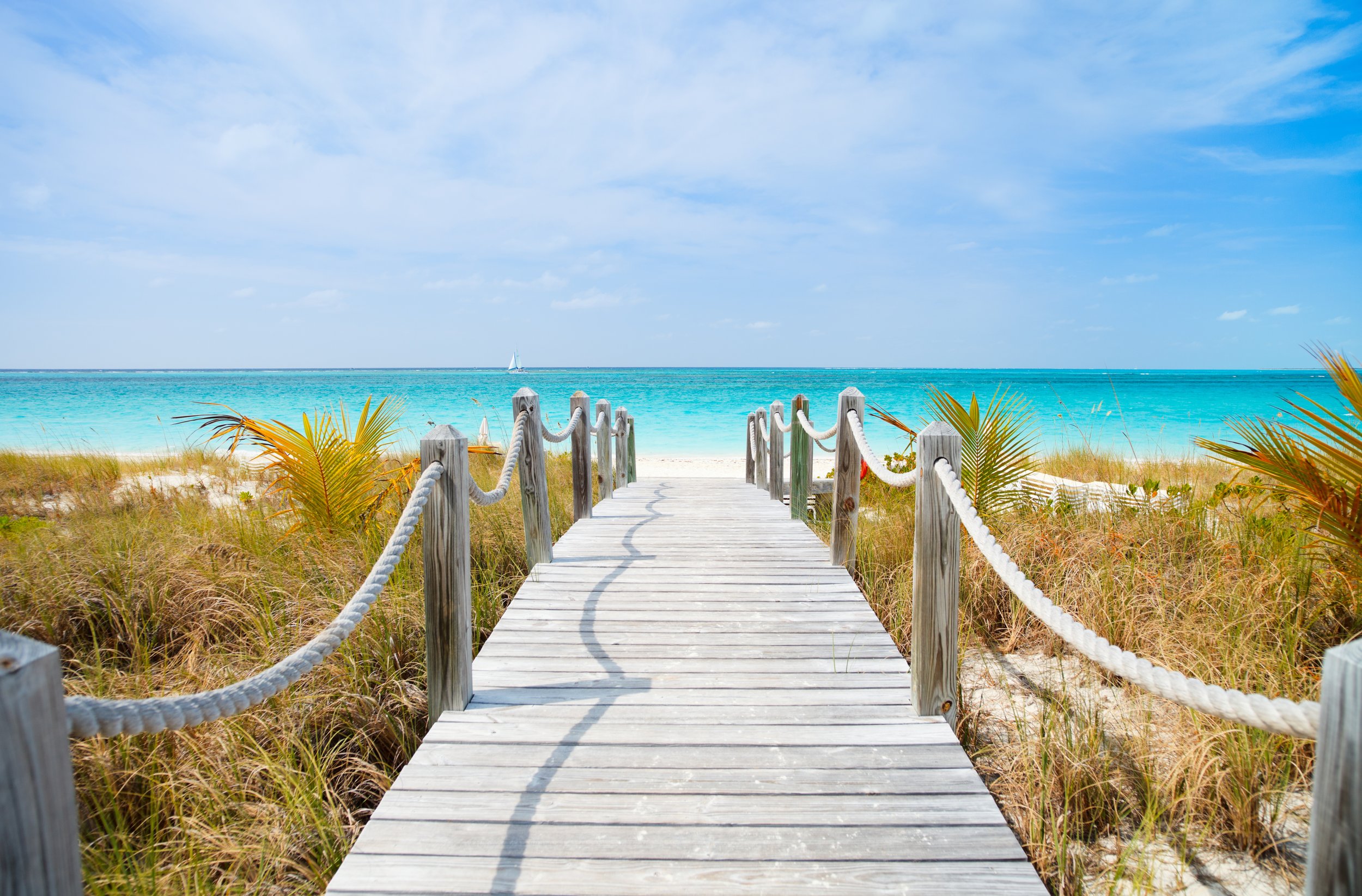 shutterstock_113330560.jpg