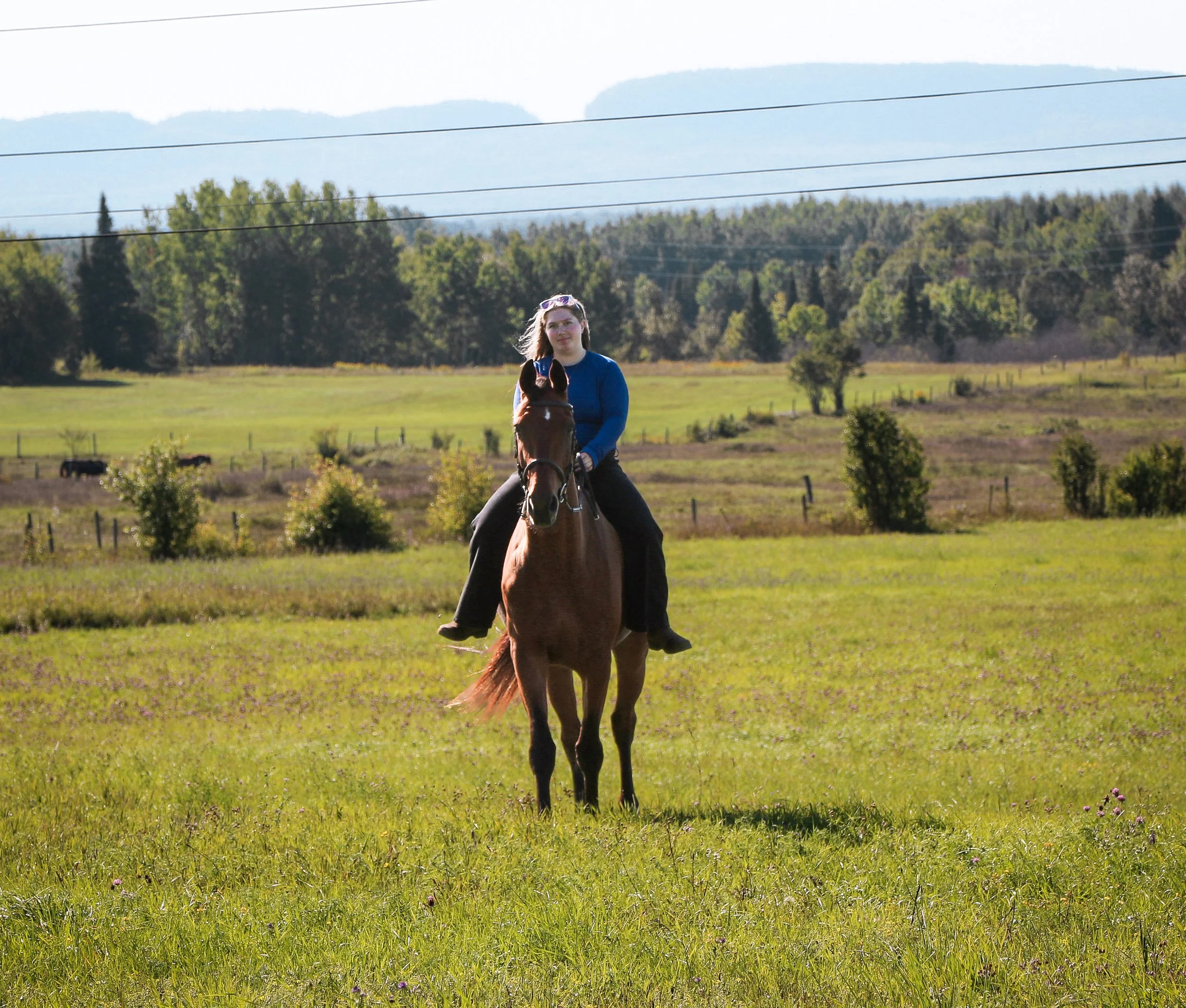 A woman riding a horse on a grassy field with trees and mountains in the background.