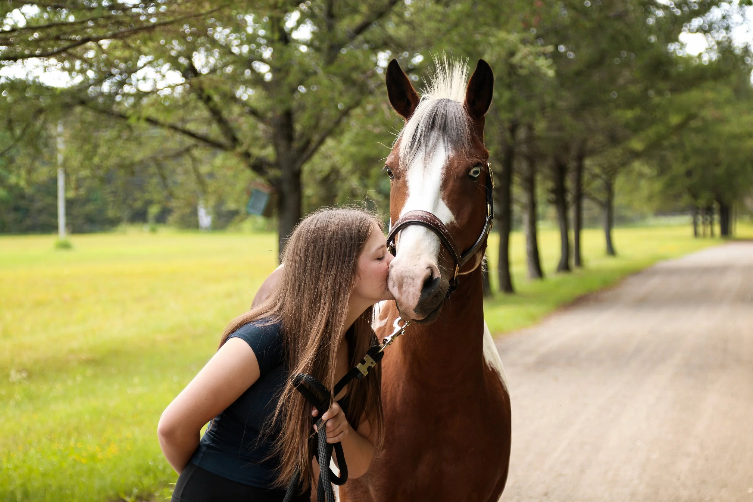 Horse & Person