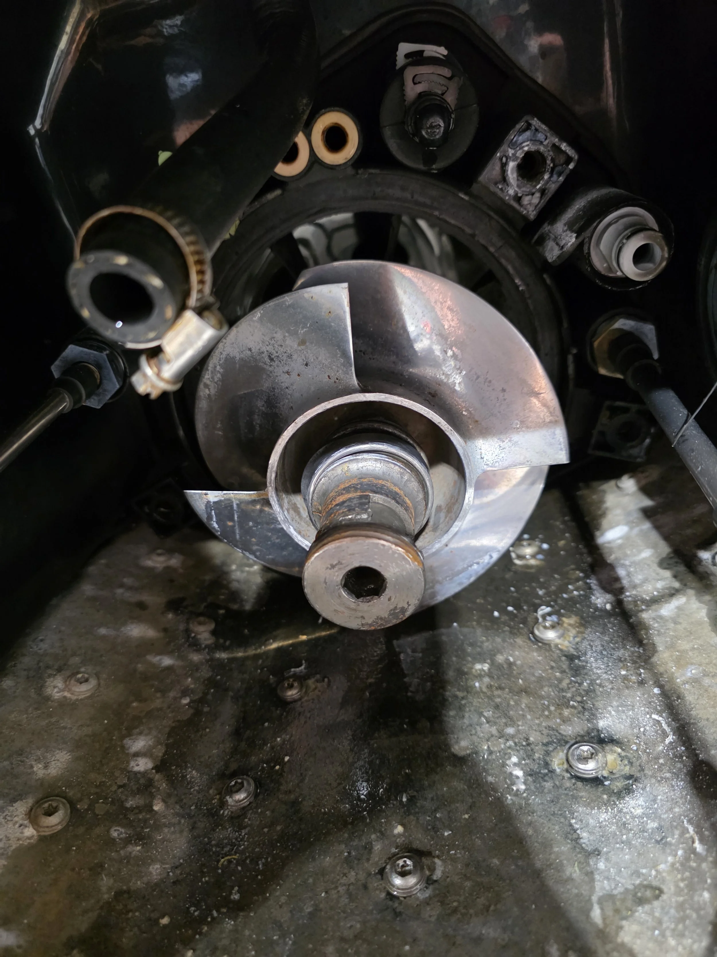 Pump bearing complete failure