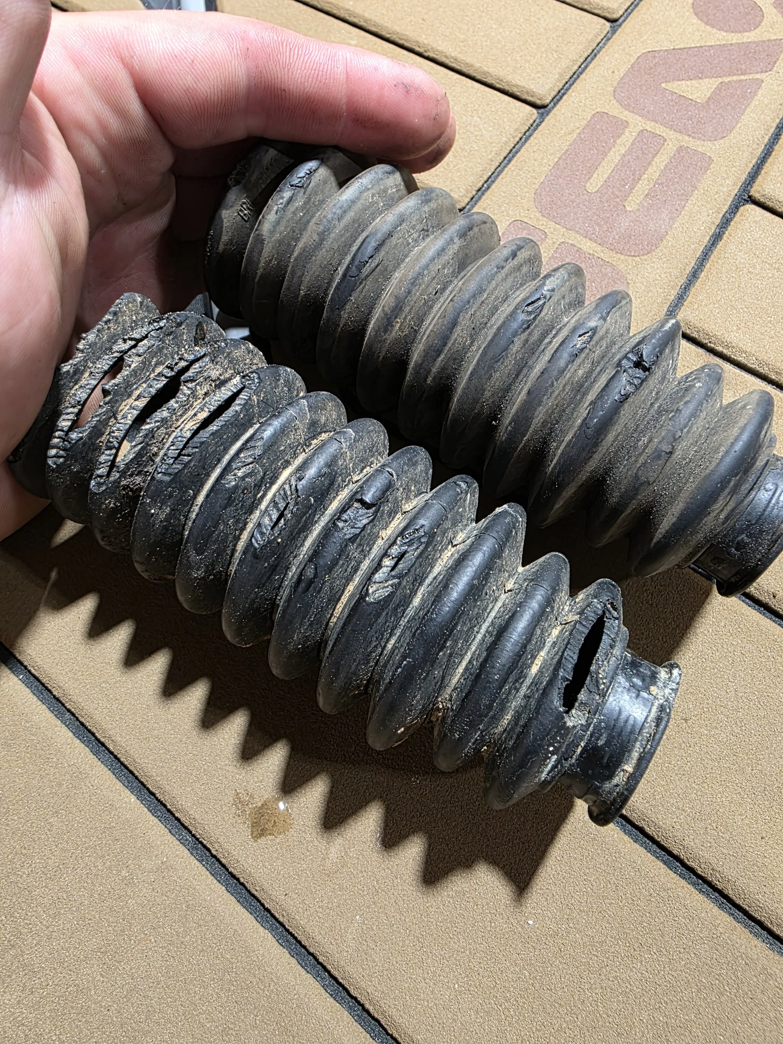 Rodent bellow damage