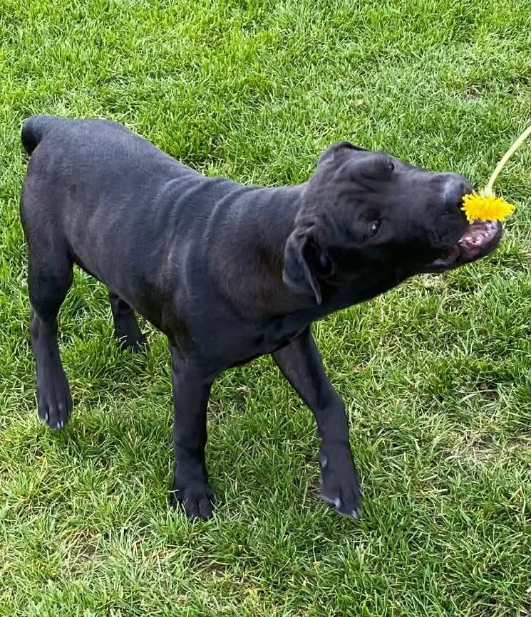 Bertie 2.jpg