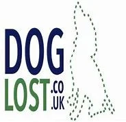MISSING DOGS