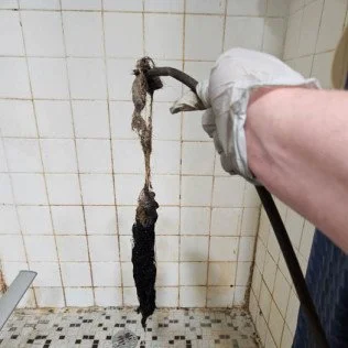 Clog 3.jpg