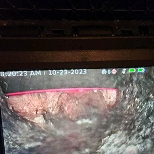 Clog Camera 1.jpg