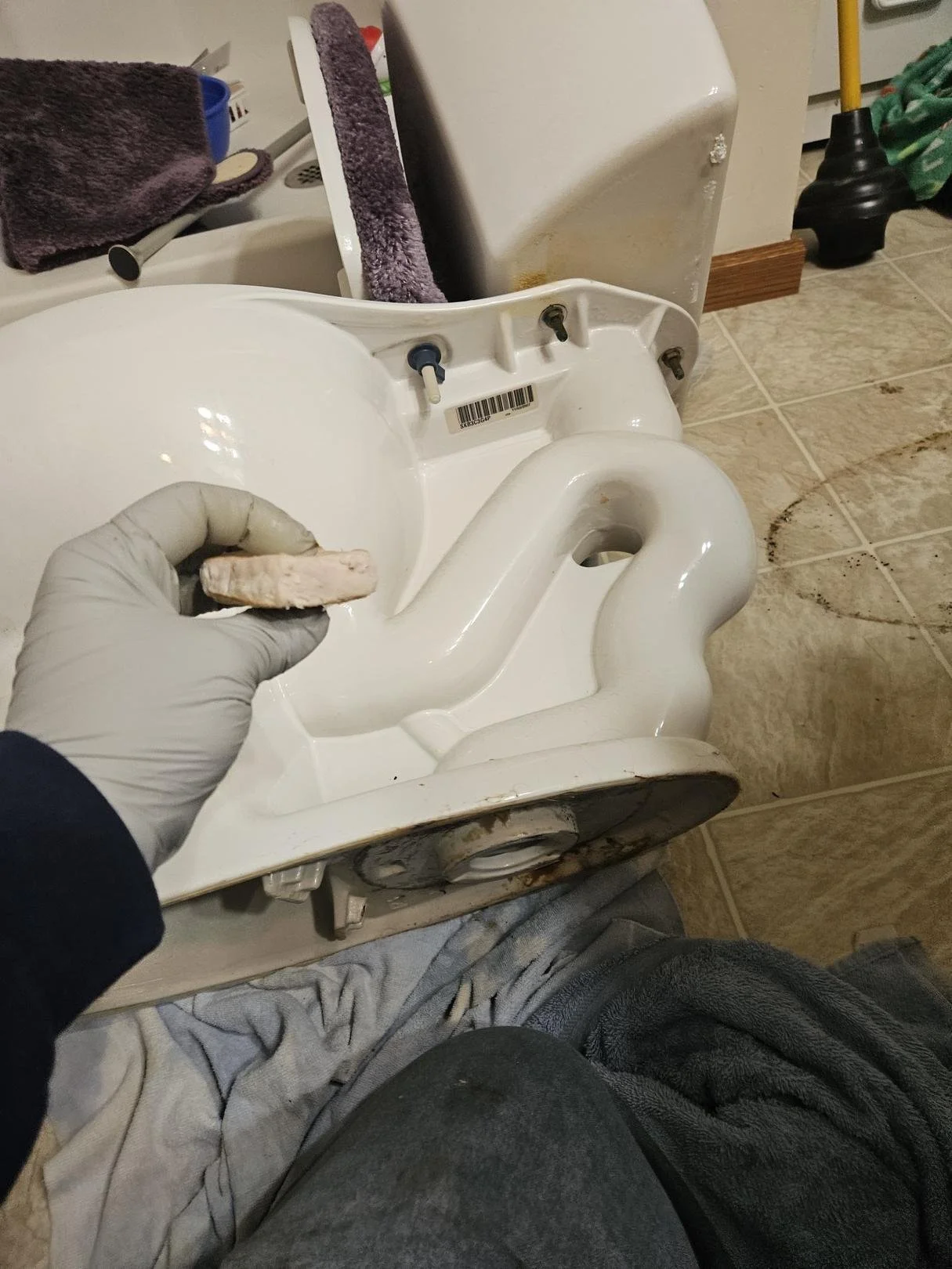 Toilet Clog 1.jpeg