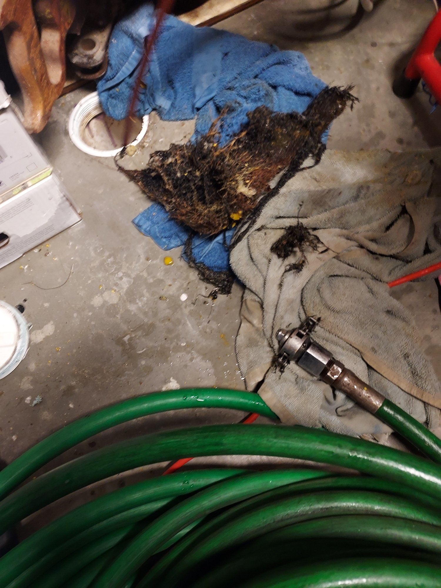 Resized-20220610-165154.jpeg