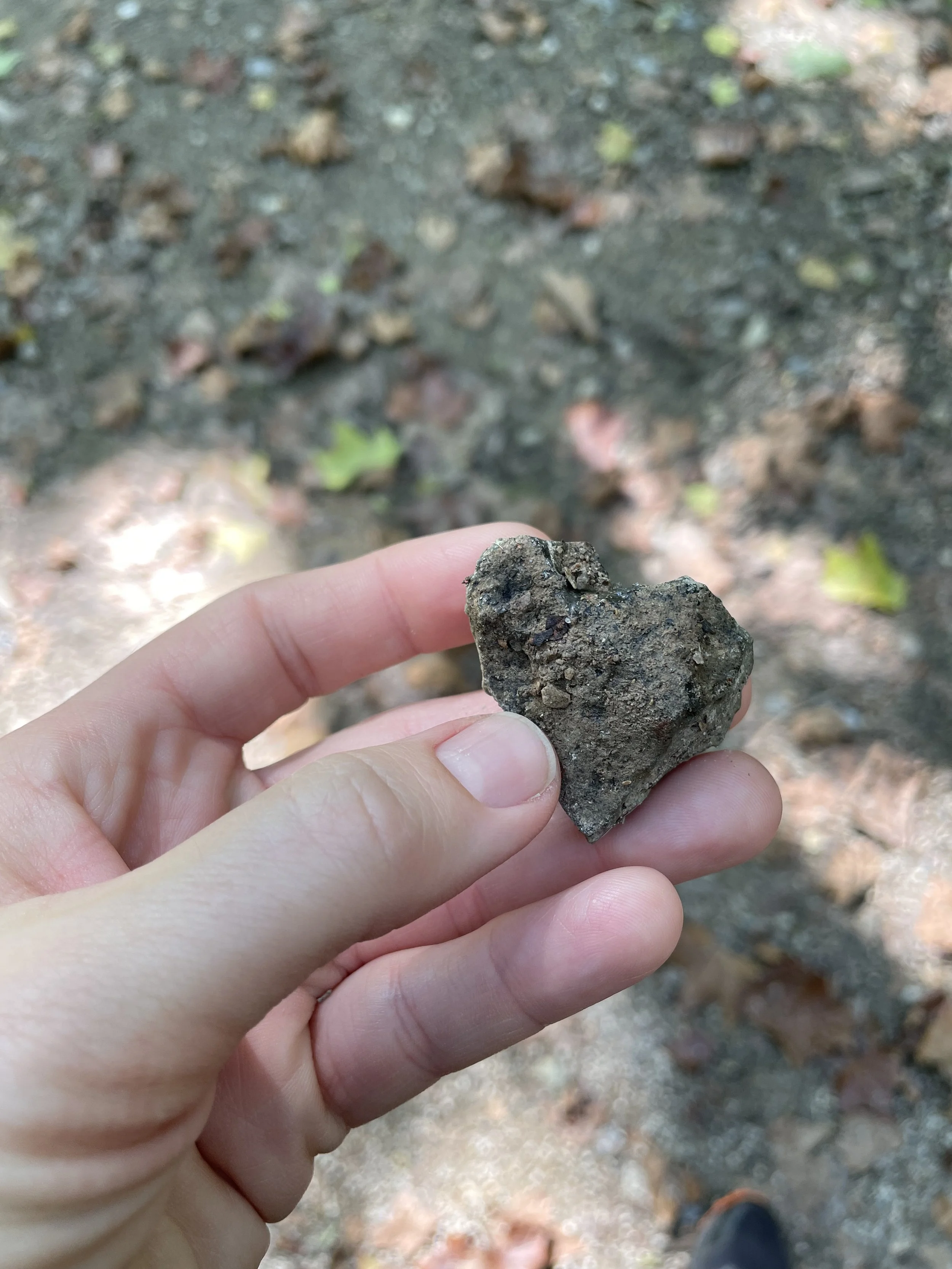 Close-up of a person's hand holding a small, heart-shaped rock, with a blurred ground covered in soil and small leaves in the background.
