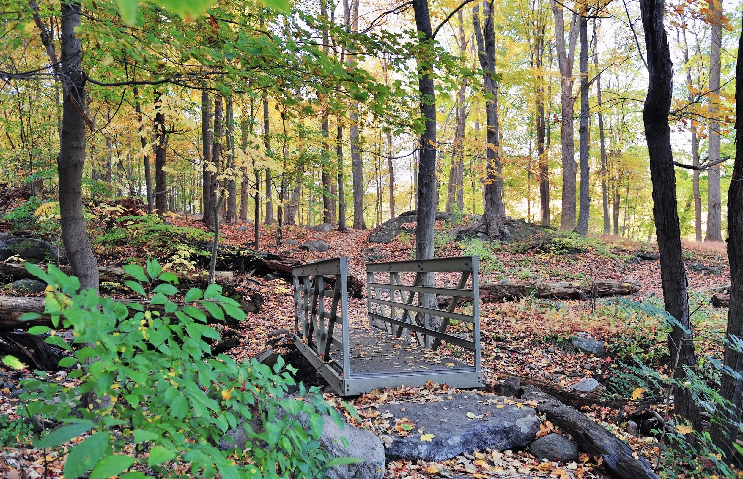 Nature Trails