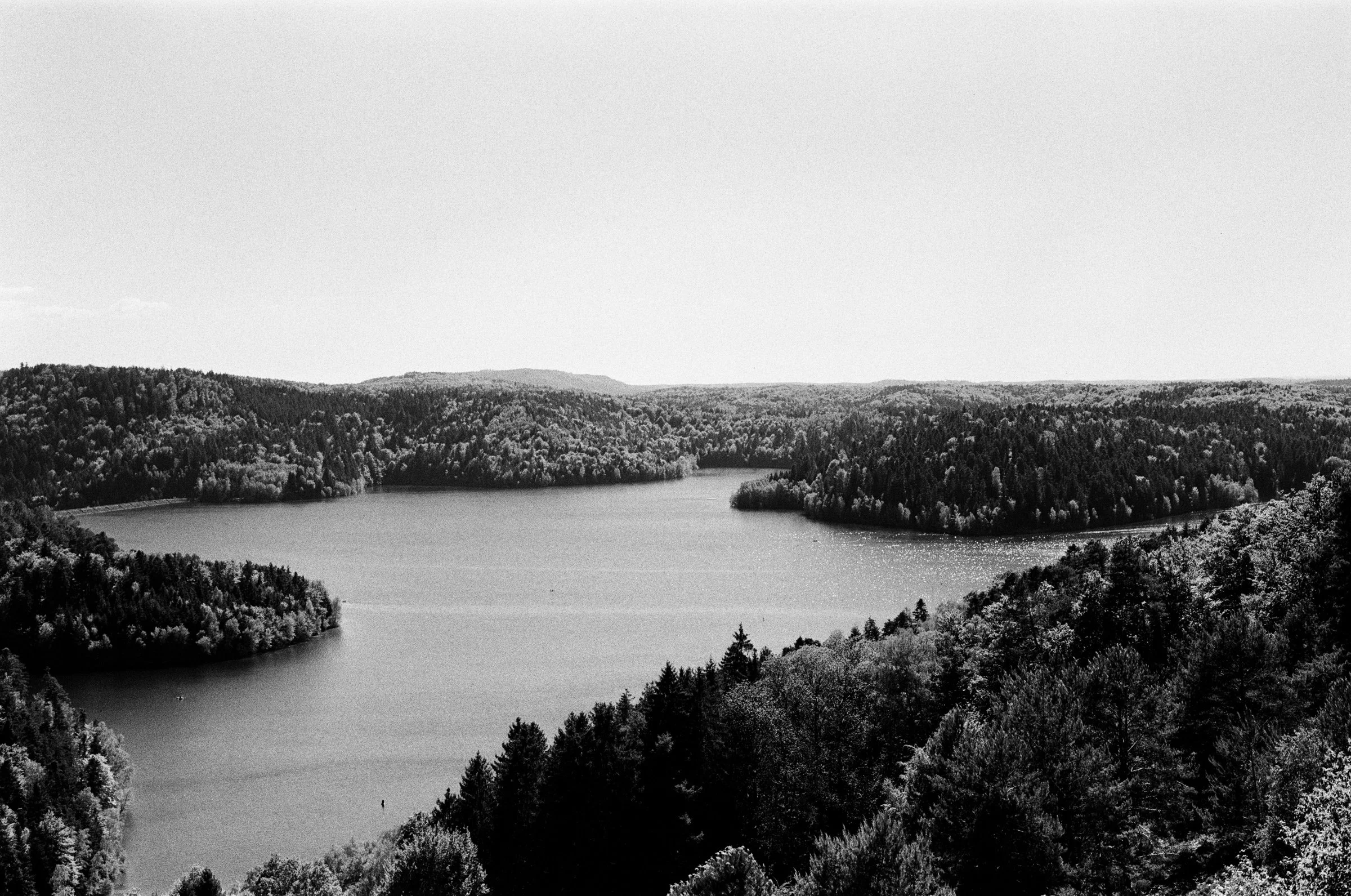 Vosges