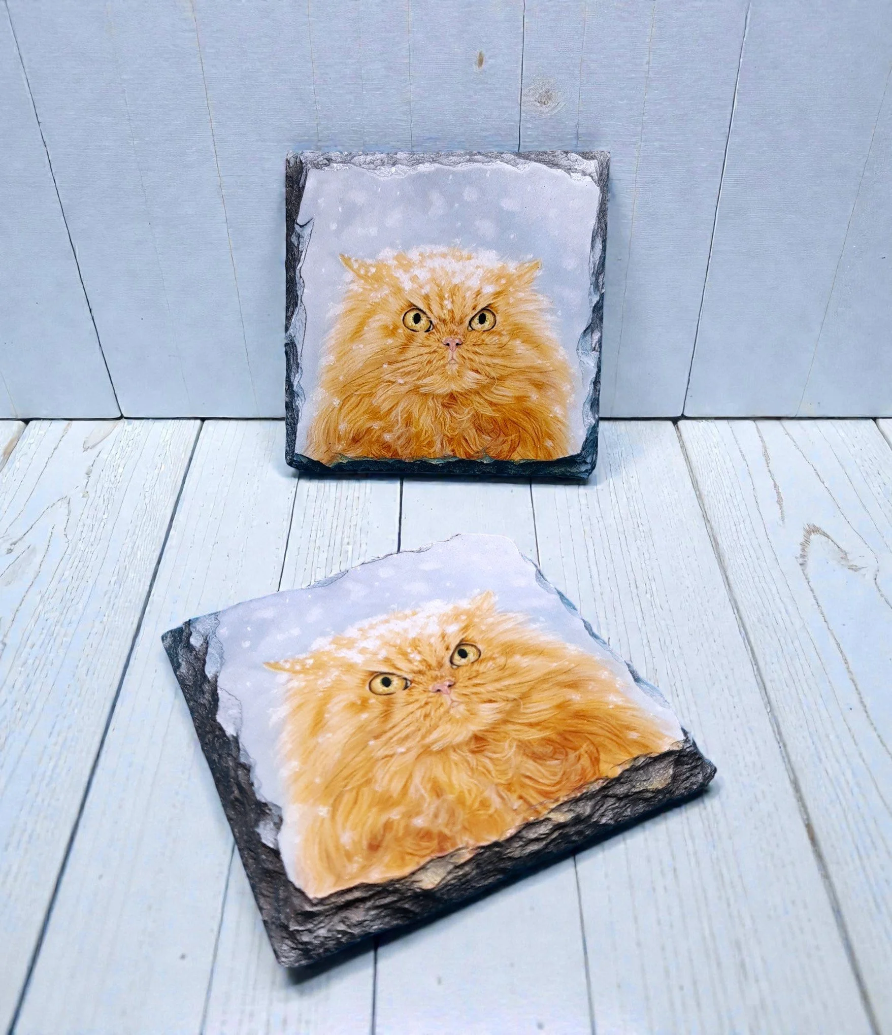 grumpy ginger cat coaster mock up 160526-Photoroom.jpg