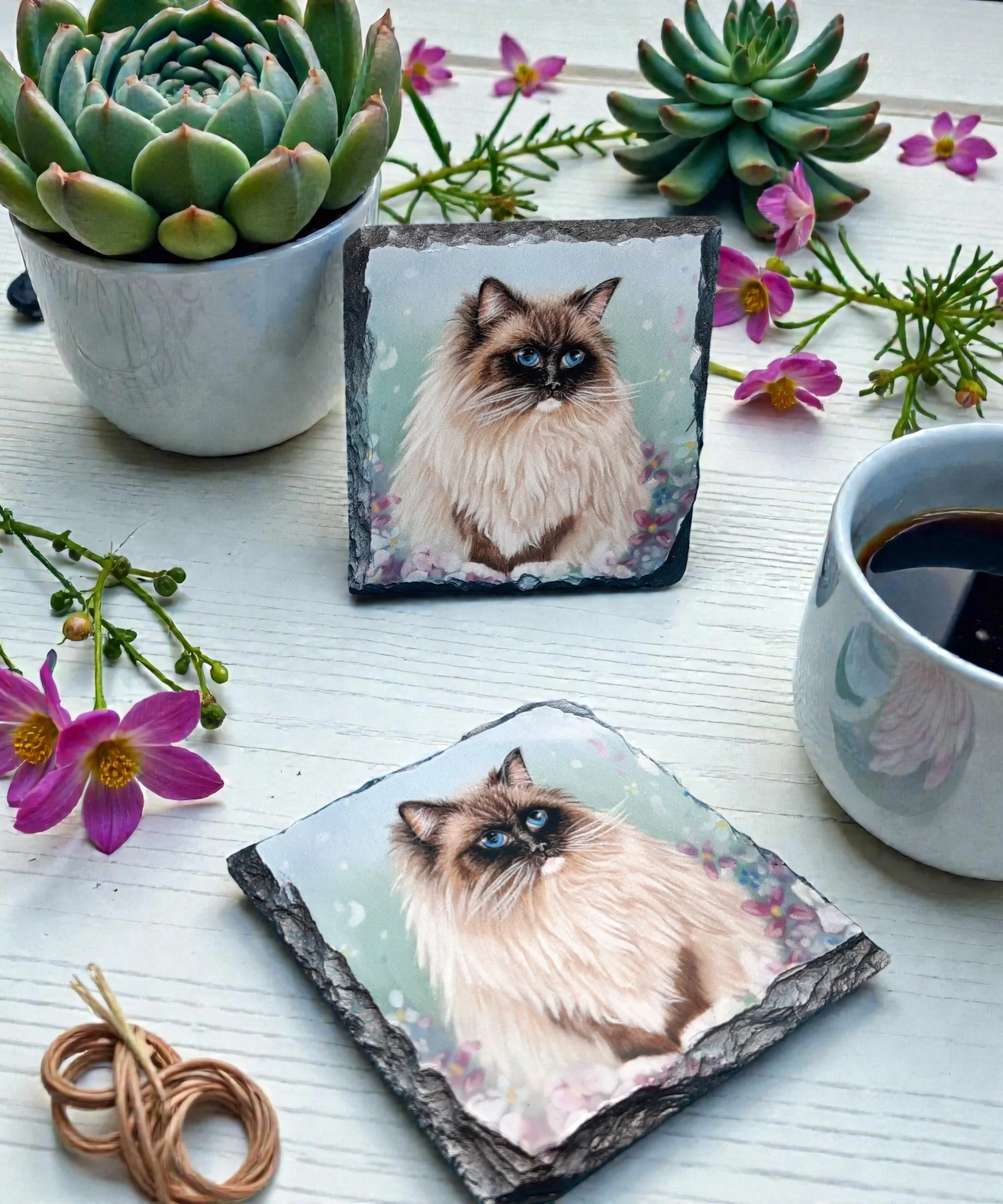 two slate coasters on a white washed rustic wooden top with plants nearby, the coasters have a glossy print of a pencil artwork of a ragdoll cat sitting amongst flowers