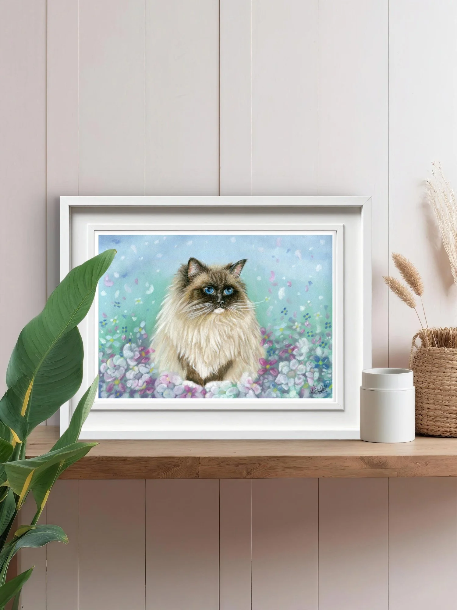 Ragdoll Cat Art Print