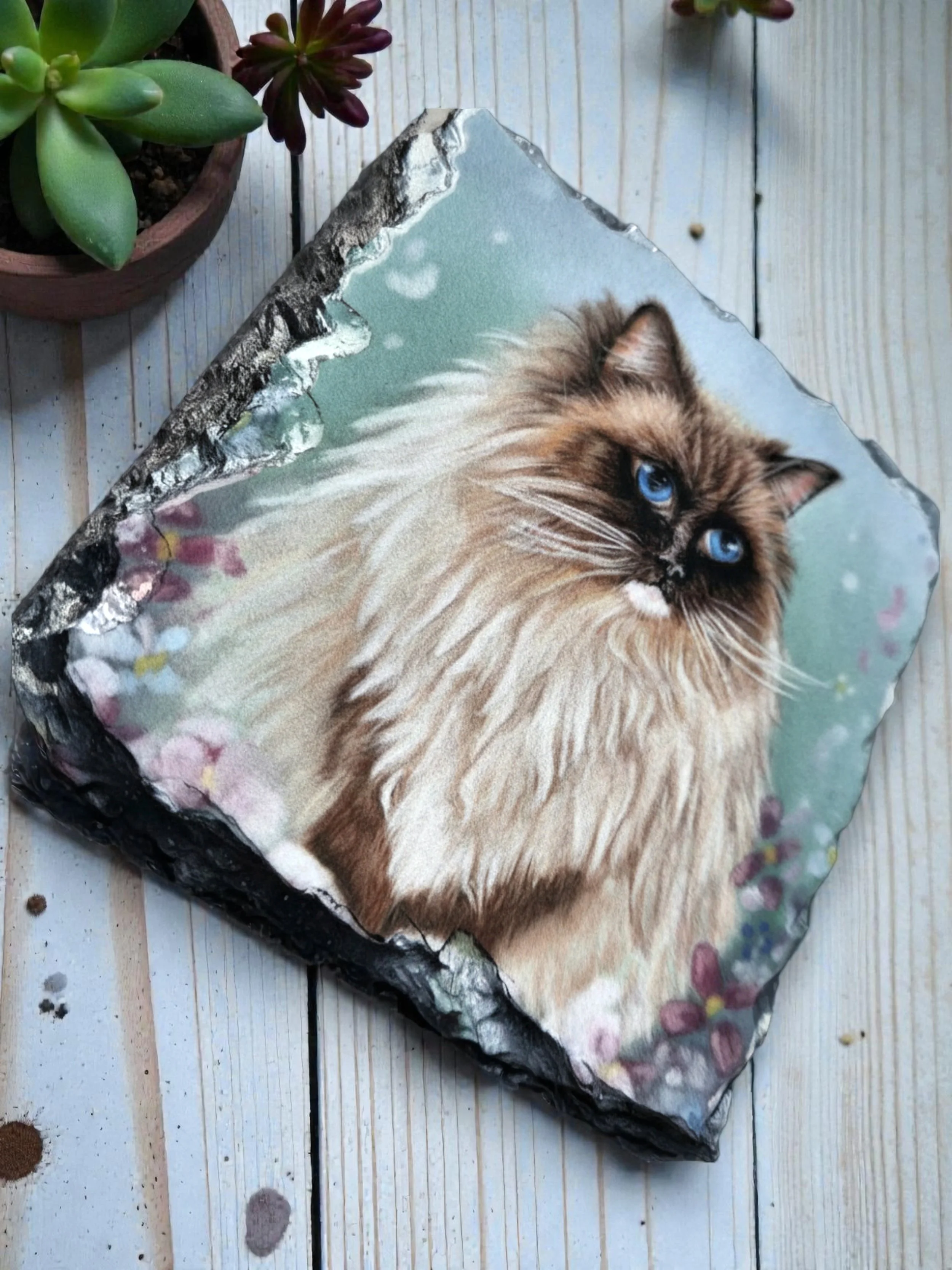 glossy slate coaster flat lay on white washed wooden top, printed on the coaster is a pencil artwork of a fluffy ragdoll cat with blue eyes sitting amongst pastel flowers