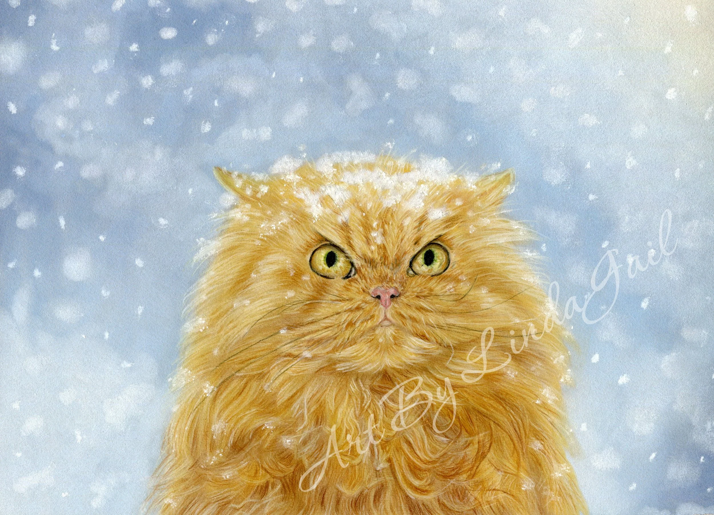 angry cat wiv watermark2.jpg
