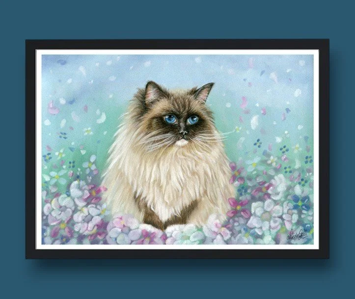 springcat black frame mock up-Photoroom.jpg