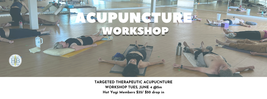 Acupuncture Workshop