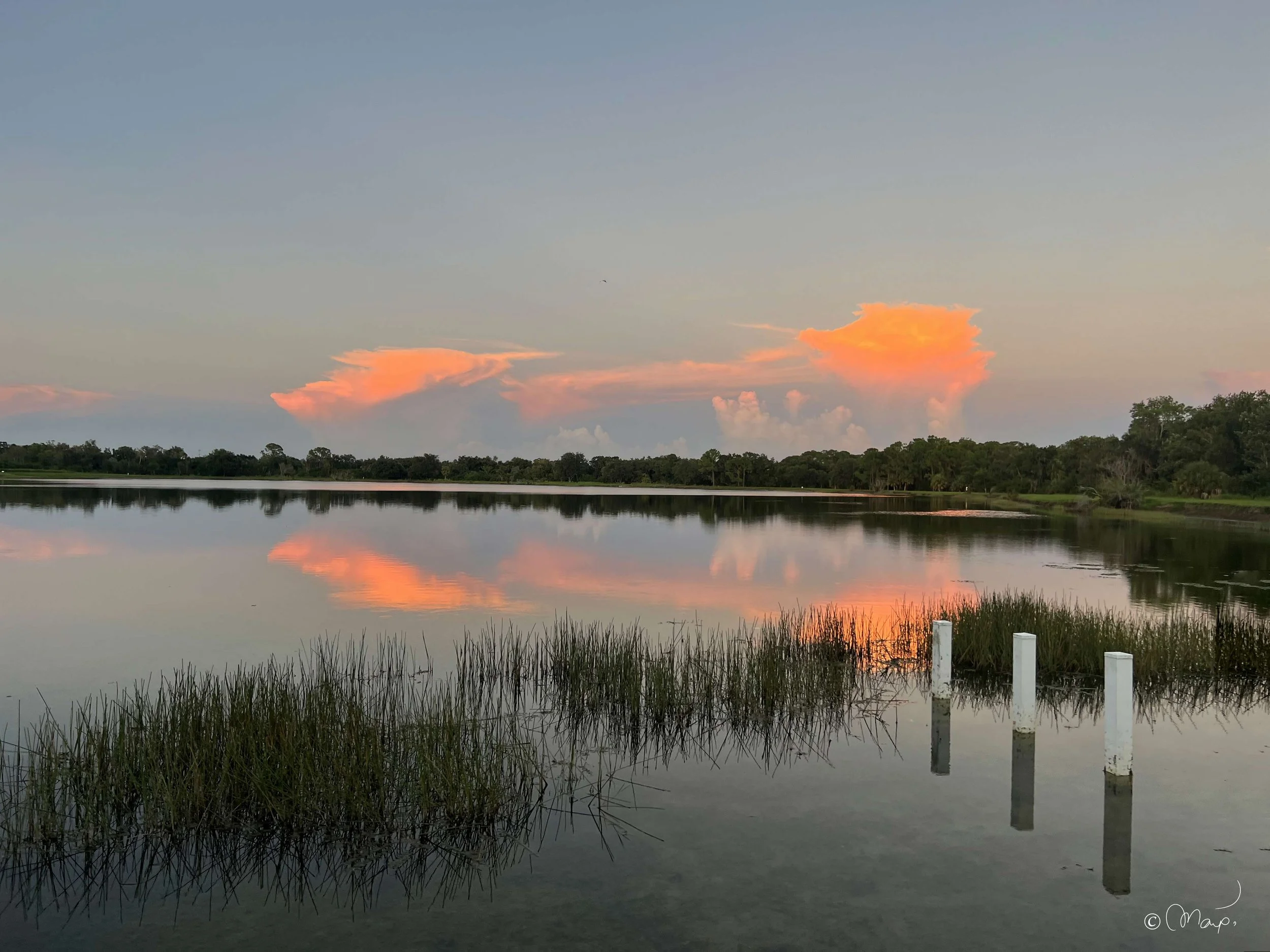 aeroview-nature-7-OPTI.jpg