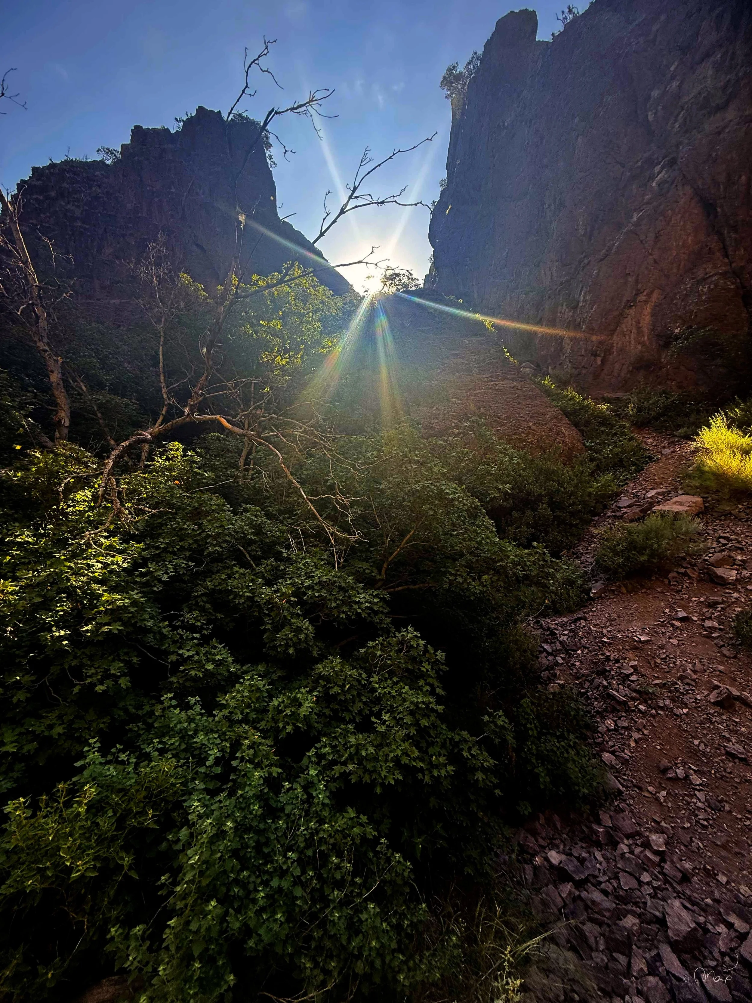 aeroview-nature-4-OPTI.jpg