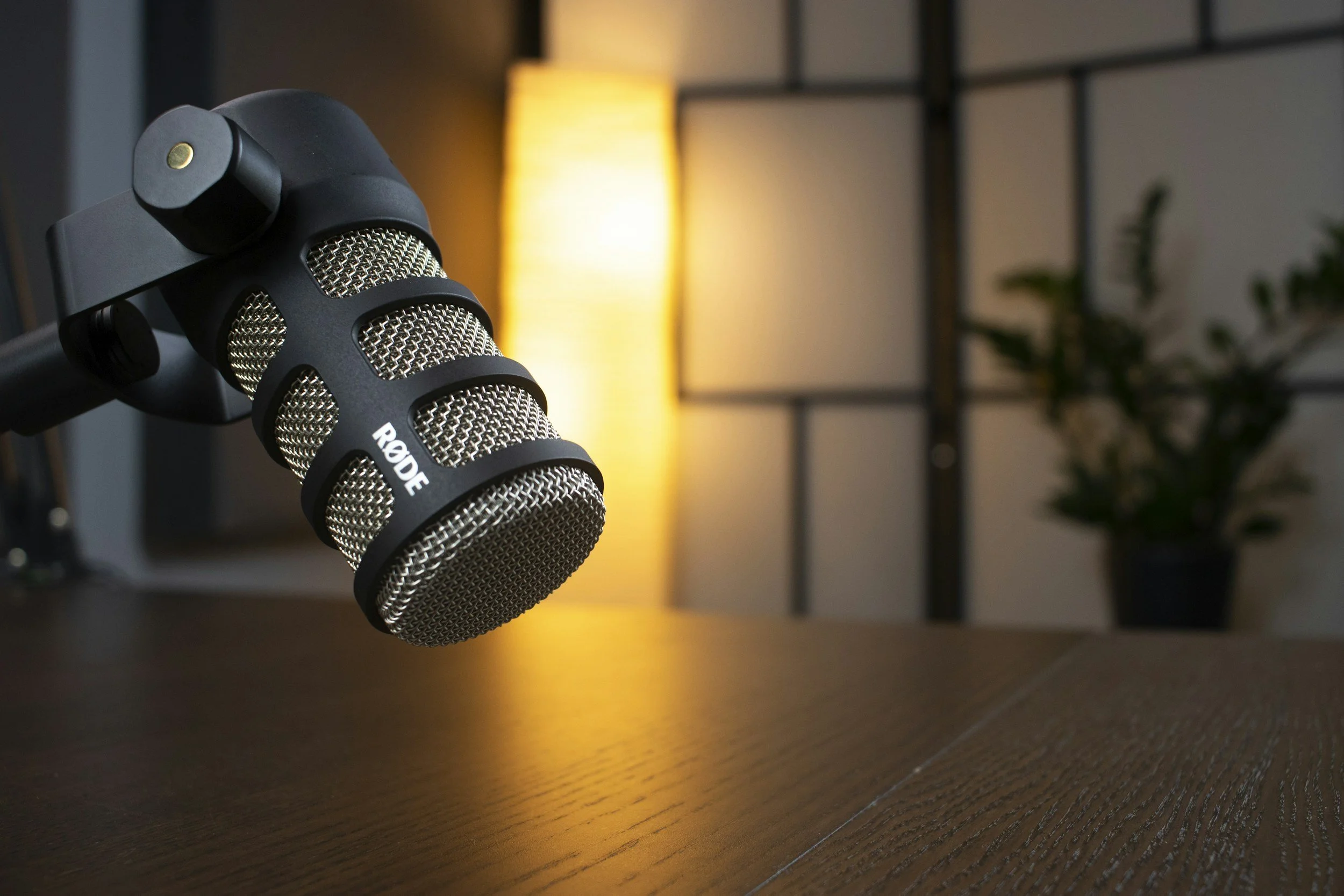 Close-up of a professional microphone on a dark wooden surface in a studio, with a blurred yellow lamp and a plant in the background.