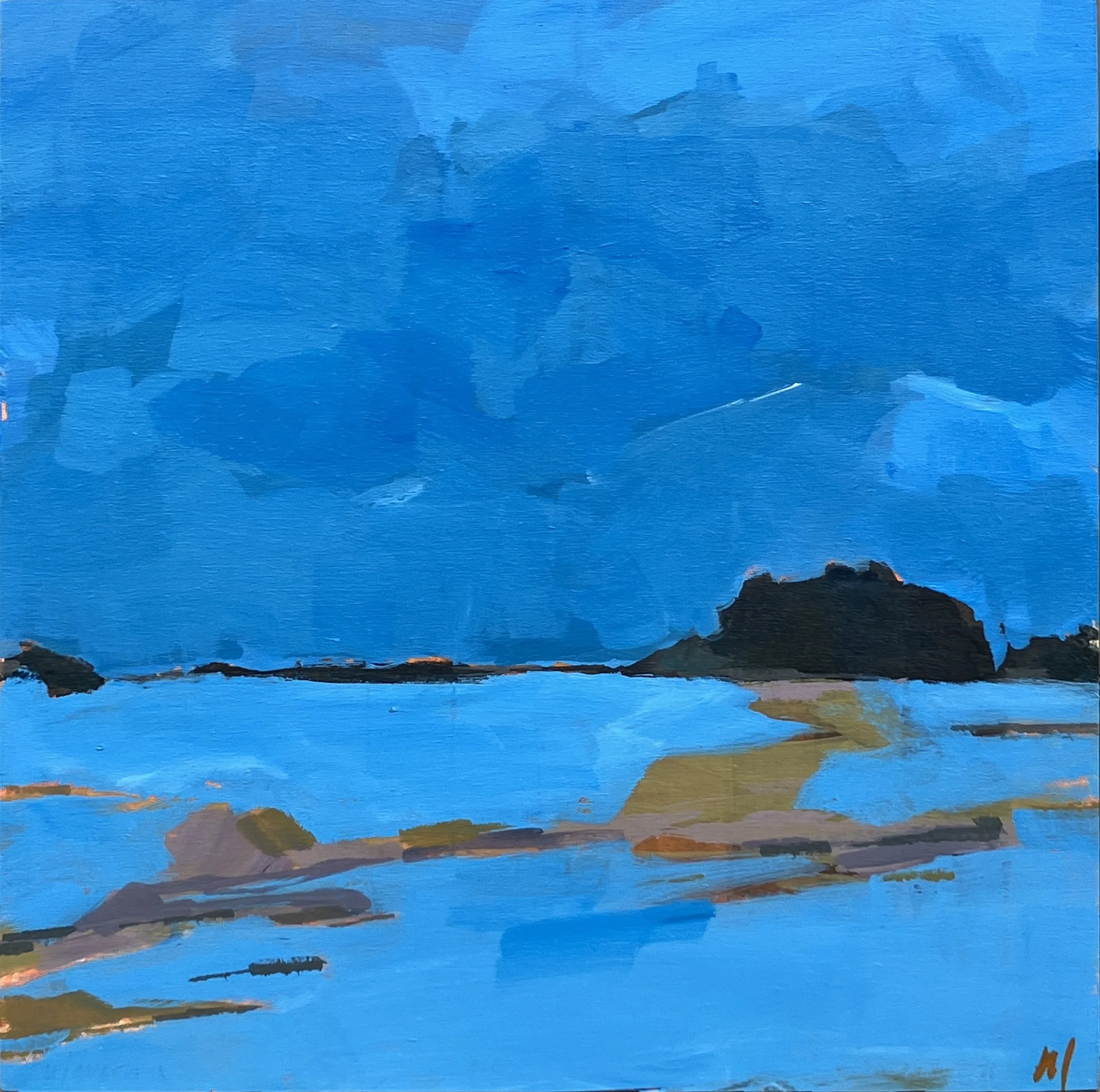 Predawn, snowy field_NancyLarson_4032.JPG