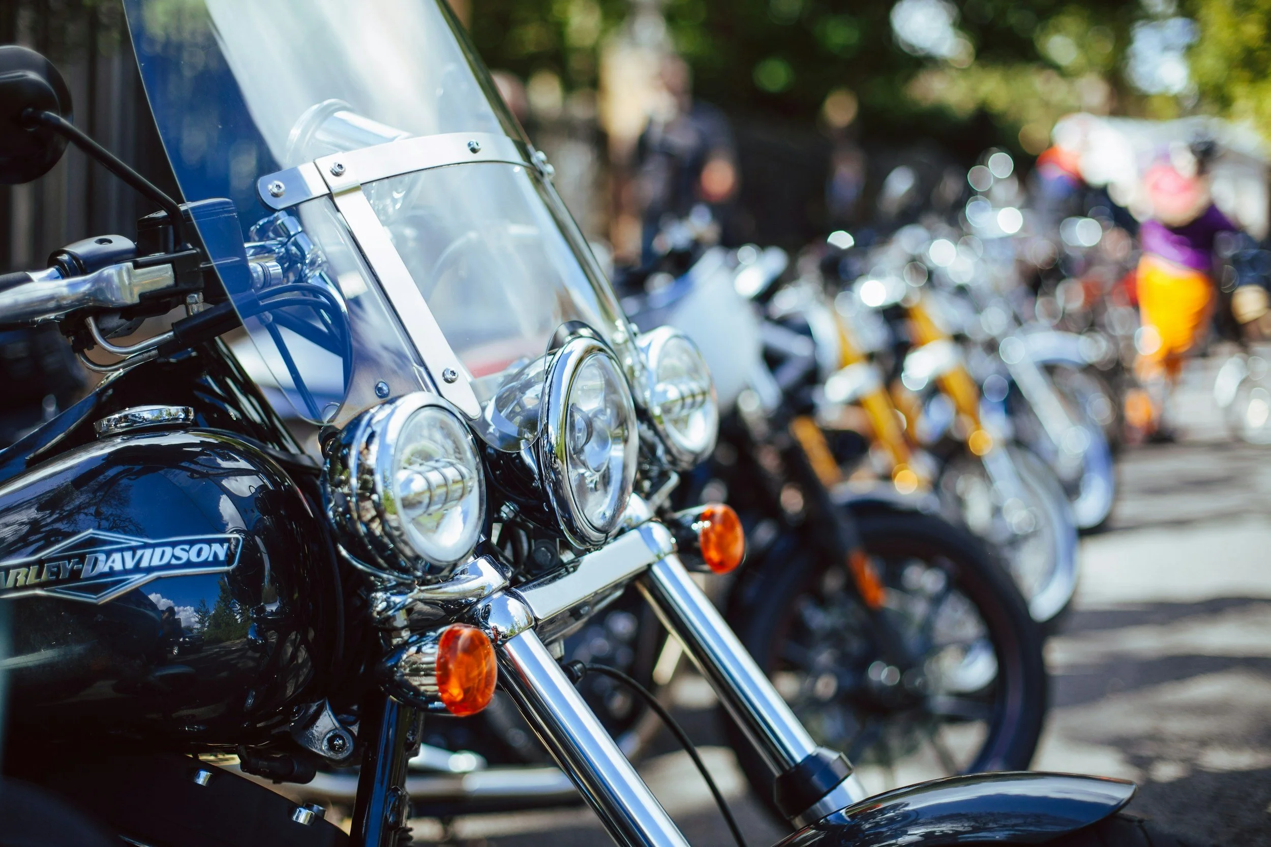 Blue Daos Veterans Day Ride