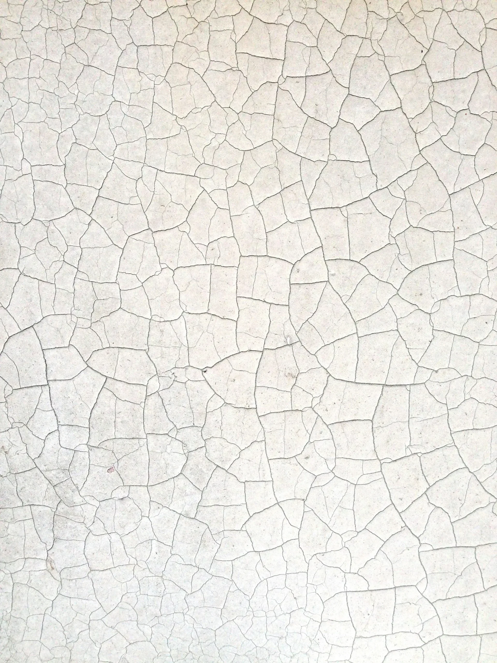From trusted expert to growth catalyst: the identity shift professionals don’t talk about
